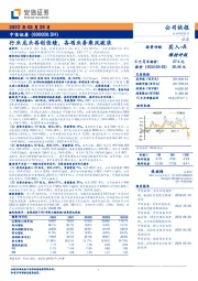 行业龙头再创佳绩,各项业务乘风破浪