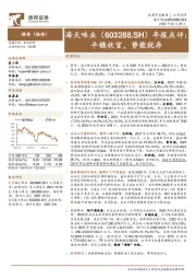 年报点评：平稳收官，势能犹存