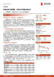2021年年报点评:铁路投资节奏调整,积极应对保障后续成长