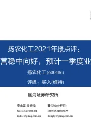 扬农化工2021年报点评:2021年经营稳中向好,预计一季度业绩高增长