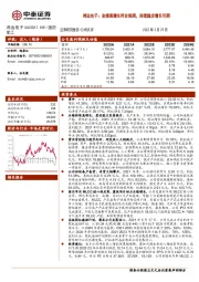 鸿远电子：业绩高增长符合预期，持续稳步增长可期