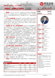 2021年报点评:高镍龙头,定增助力产能释放