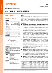NBV大幅承压,投资端业绩稳健