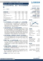 2021年年报点评:三大主业全面开花,龙头一体化布局趋势明确