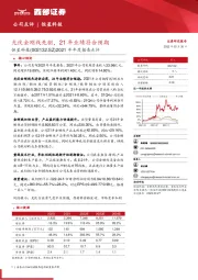 2021年年度报告点评：光伏金刚线先驱，21年业绩符合预期