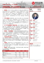 2021年年报点评:业绩表现亮眼,LFP+三元双翼齐飞