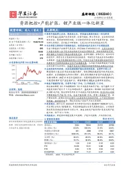 资源把控+产能扩张,锂产业链一体化新星