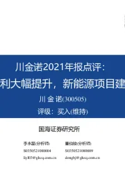 川金诺2021年报点评:全年盈利大幅提升,新能源项目建设加速