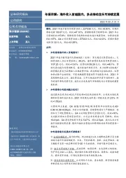 年报详解：海外收入首超国内，多点推动龙头可持续发展