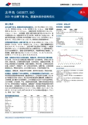 2021年业绩下滑5%，渠道和库存结构优化