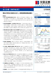 高技术附加化解成本压力，新能源领域高速增长