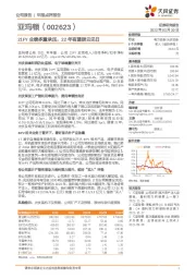 21FY业绩多重承压，22年有望拨云见日