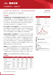 首次覆盖报告：立足铁矿油气资源开发，不断进军新能源领域