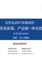 云天化2021年报点评：经营业绩创历史新高，产业链一体化优势持续增强