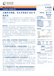 业绩符合预期，多点开花助力2022年高成长