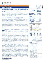 各项业务快速发展，2021年业绩增长符合预期