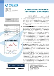 2021年报点评：着力布局新能源，永磁龙头加速成长