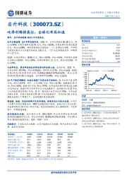 吨净利维持高位，全球化布局加速