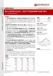 新强联深度报告：国内大型回转支承龙头，受益于风电轴承高景气和国产替代