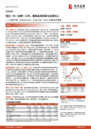 2021业绩点评报告:强化一车一品牌一公司,聚焦品类创新与品牌向上