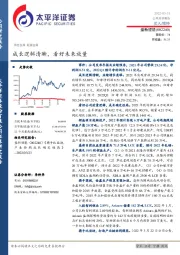 成长逻辑清晰,看好未来放量