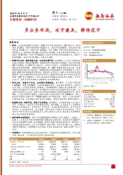 2021年年报点评：多业务布局，攻守兼具，静待花开