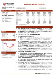 基本面拐点到来,新冠口服药VV116进度领先