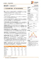 21年实现高景气增长，新产能布局持续推进