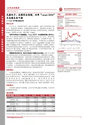 2021年年报业绩点评:民德电子:业绩符合预期,功率“smartIDM”生态圈未来可期