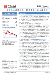 顽皮收入高速增长，销售费用投放力度不减