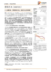 21业绩新高，周期逐渐见底，面板龙头优势显著