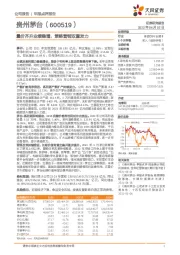 量价齐升业绩稳增，策略营销双重发力
