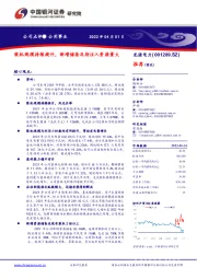 装机规模持续提升，新增储备及待注入资源量大