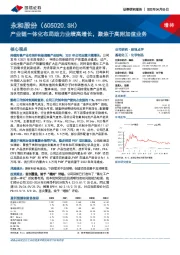 产业链一体化布局助力业绩高增长,聚焦于高附加值业务