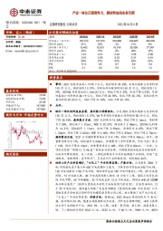 产业一体化凸现竞争力,新材料加码未来可期