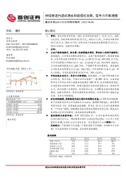 公司简评报告：持续推进内涵式增长和规模化发展，竞争力不断增强