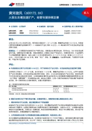 大股东定增加速扩产,经营有望持续改善