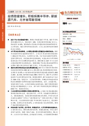 2021年报点评:业绩稳健增长,积极拓展半导体、新能源汽车、元宇宙等新领域