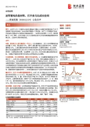 公告点评：进军锂电负极材料，打开多元化成长空间