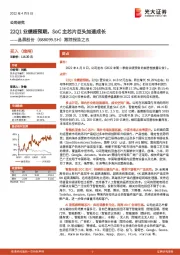 跟踪报告之五：22Q1业绩超预期，SoC主芯片巨头加速成长