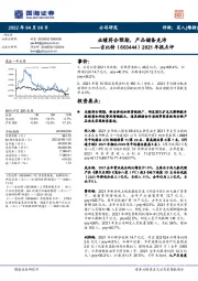 2021年报点评:业绩符合预期,产品储备充沛