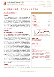 Q1业绩再创佳绩,多产品发力未来可期