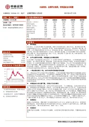 兴森科技：业绩符合预期，封装基板业务高增