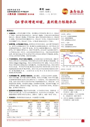 2021年年报点评：Q4营收增速回暖，盈利能力短期承压