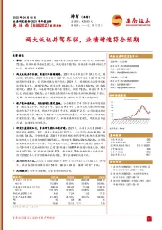 2021年年报点评：两大板块并驾齐驱，业绩增速符合预期