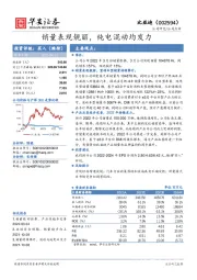 销量表现靓丽，纯电混动均发力