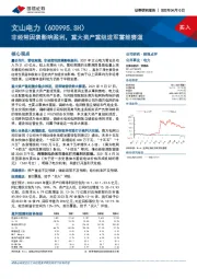 非经常因素影响盈利，重大资产重组进军蓄能赛道