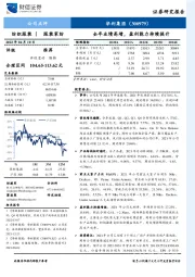 全年业绩高增，盈利能力持续提升