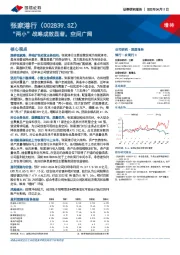 “两小”战略成效显著，空间广阔