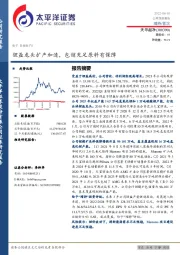锂盐龙头扩产加速，包销充足原料有保障